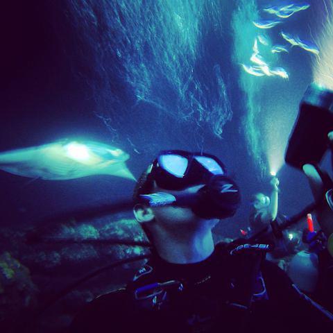 Kona Honu Divers, Inc. - Dive Center in United States