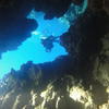 Picture taken during the dive