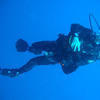 Picture taken during the dive