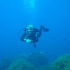 Picture taken during the dive