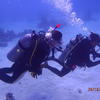 Picture taken during the dive