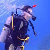 Picture taken during the dive