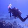 Picture taken during the dive