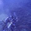 Picture taken during the dive
