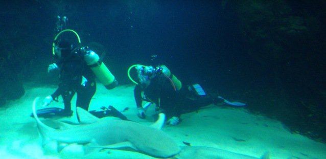 Diving in Kuwait, scientific center - By Rami