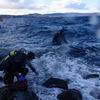 Picture taken during the dive