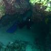 Picture taken during the dive