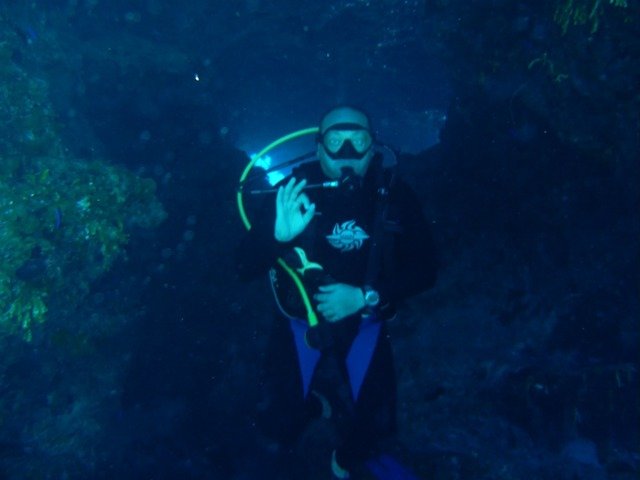 Cape Eleuthera Divers - Dive Center in Bahamas