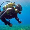 Picture taken during the dive