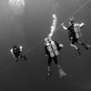 Picture taken during the dive