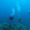 Picture taken during the dive
