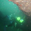 Picture taken during the dive