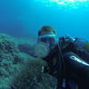 Picture taken during the dive