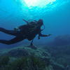 Picture taken during the dive