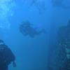 Picture taken during the dive