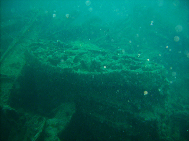 Diving World Red Sea - Dive Center