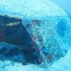 Picture taken during the dive