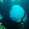 Picture taken during the dive