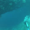 Picture taken during the dive