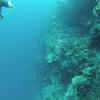Picture taken during the dive