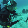 Picture taken during the dive
