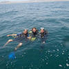 Picture taken during the dive