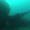 Picture taken during the dive
