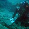 Picture taken during the dive