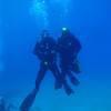 Picture taken during the dive