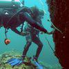 Picture taken during the dive