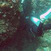 Picture taken during the dive