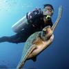 Picture taken during the dive