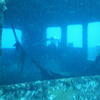Picture taken during the dive