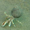 Picture taken during the dive
