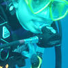 Picture taken during the dive