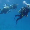 Picture taken during the dive