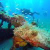 Picture taken during the dive