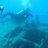 Picture taken during the dive
