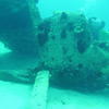 Picture taken during the dive