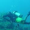 Picture taken during the dive