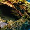 Picture taken during the dive