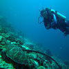 Picture taken during the dive