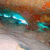 Picture taken during the dive