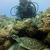 Picture taken during the dive