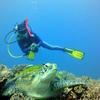 Picture taken during the dive