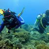 Picture taken during the dive