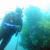 Picture taken during the dive