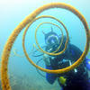 Picture taken during the dive
