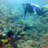 Picture taken during the dive