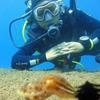 Picture taken during the dive